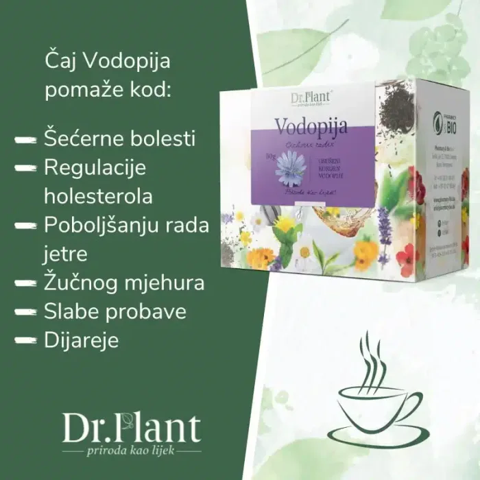 Dr. Plant čaj Vodopija (Cichorii radix) 50g - Slika 2