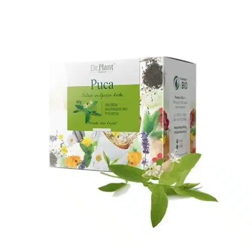 Dr. Plant čaj puca (Silene vulgaris herba) 40g