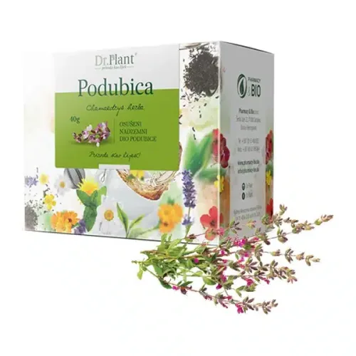 Dr. Plant čaj Podubica (Chamaedrys herba) 40g